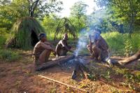 Bushmen Camp
